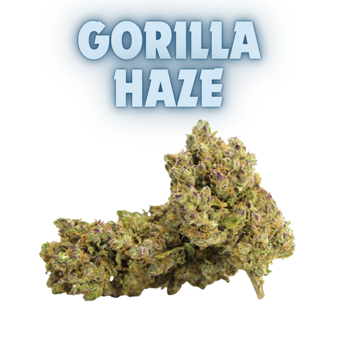 Los Greengos CBD - Gorilla Haze Indoor