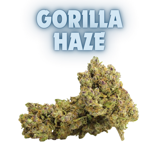 Los Greengos CBD - Gorilla Haze Indoor