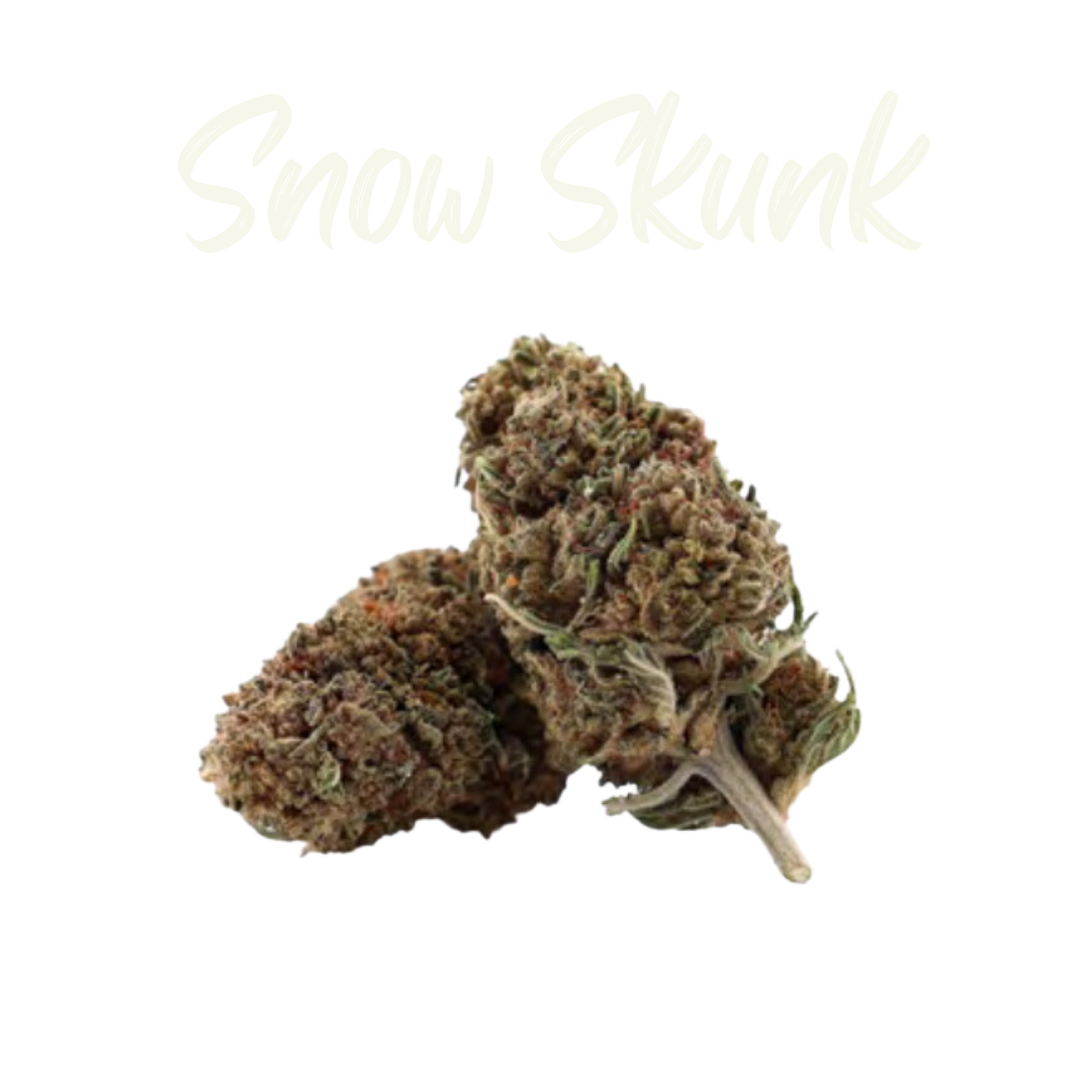 Los Greengos CBD - Snow Skunk Greenhouse