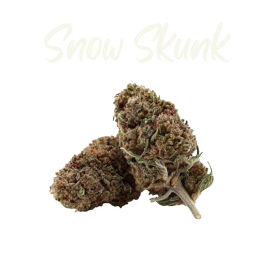 Los Greengos CBD - Snow Skunk Greenhouse