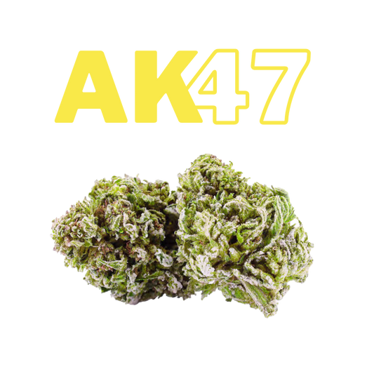 Los Greengos CBD - AK47 Greenhouse CBN 17%