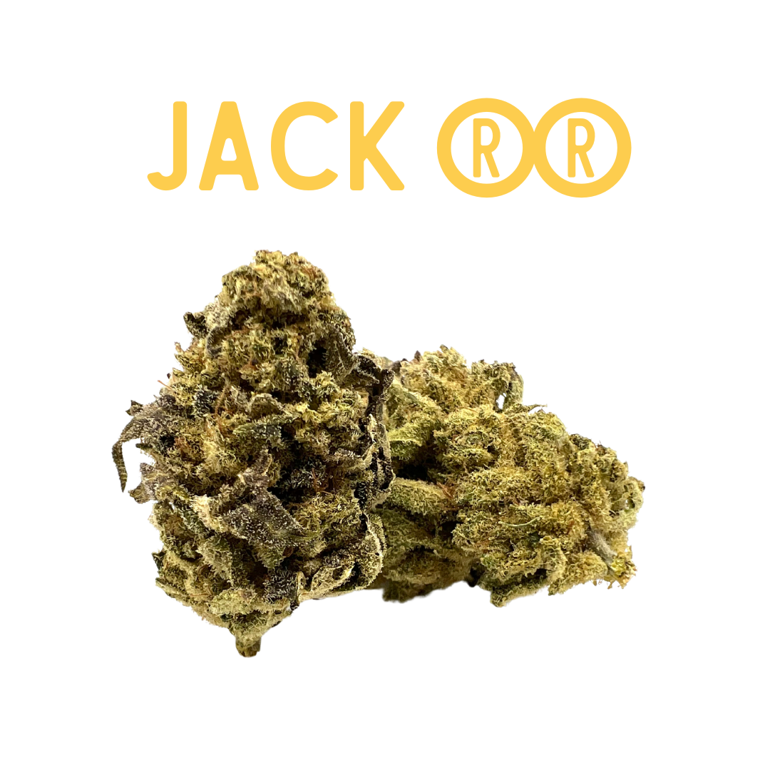 Los Greengos CBD - Jack RR Indoor