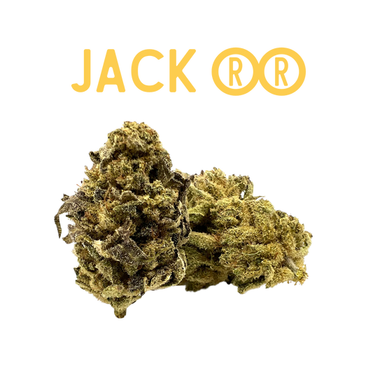 Los Greengos CBD - Jack RR Indoor