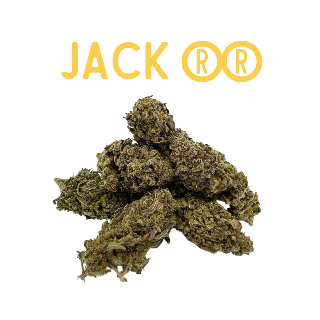 Los Greengos CBD - Jack RR Indoor